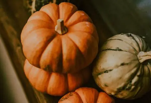 Al momento stai visualizzando La zucca… non solo ad Halloween!