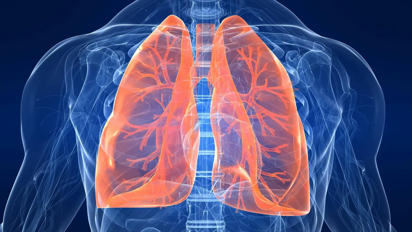 Al momento stai visualizzando Un nuovo punto di riferimento per le patologie Toraco-Polmonari